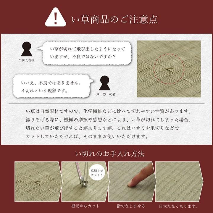 ノア フリーマット 製品 BR 90X200　1121170063901_6