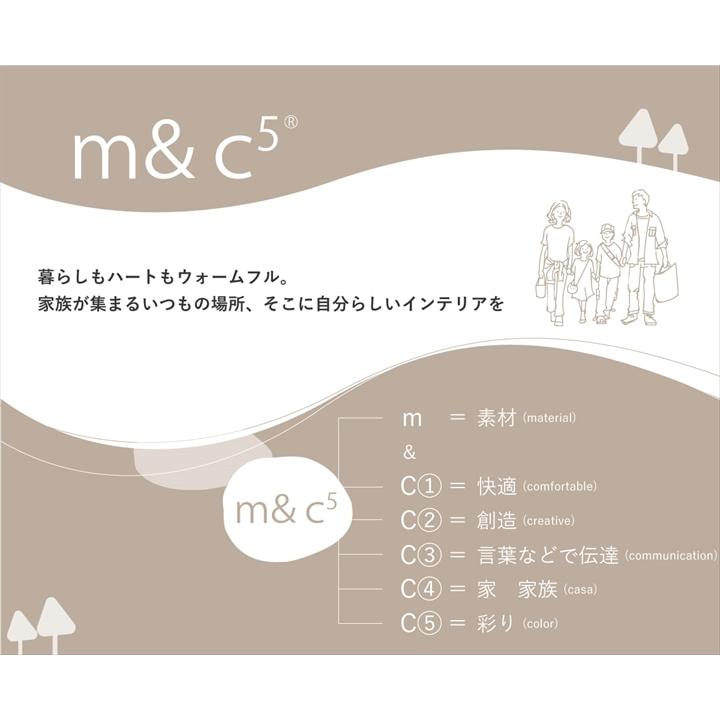 エネル 大判長方形 製品 YE 200X300　1330330290902