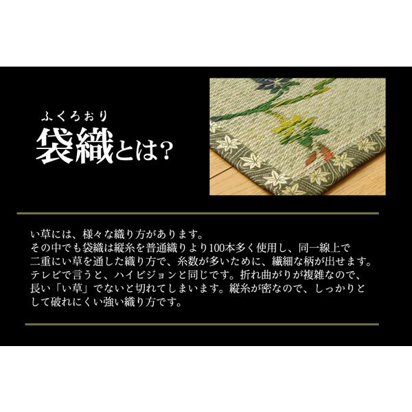イケヒコ い草花ござカーペット 『嵐山』 本間2畳(約191x191) 4300212
