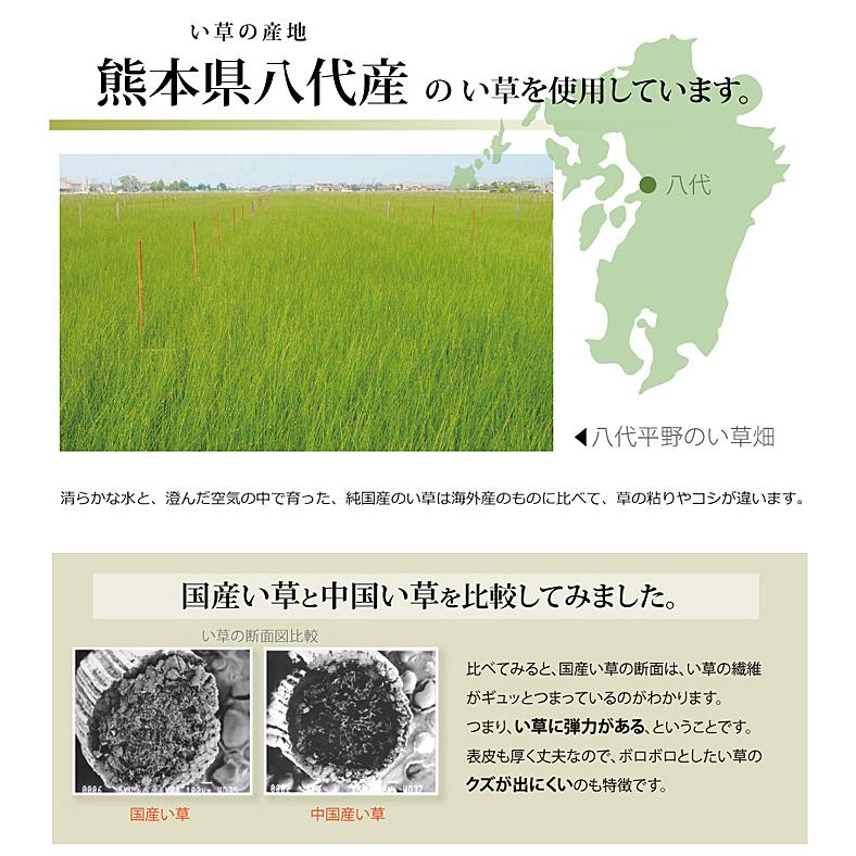 イケヒコ 純国産 い草 上敷 カーペット 市松織 『不知火』 江戸間4.5畳(約261×261） 熊本県八代産イ草使用 6300134｜fukuhirado｜06