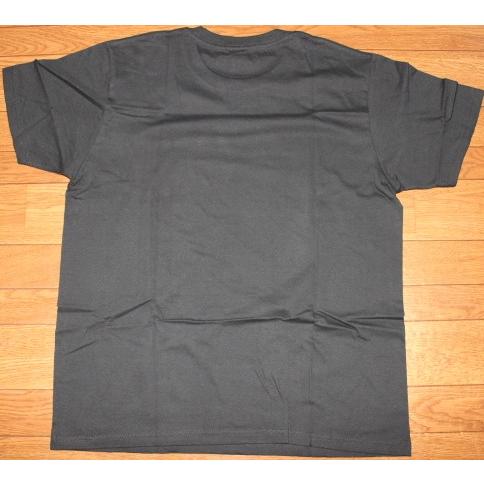 Tシャツ 富士山 インバウンド お土産 おみやげ かっこいい 山 富士