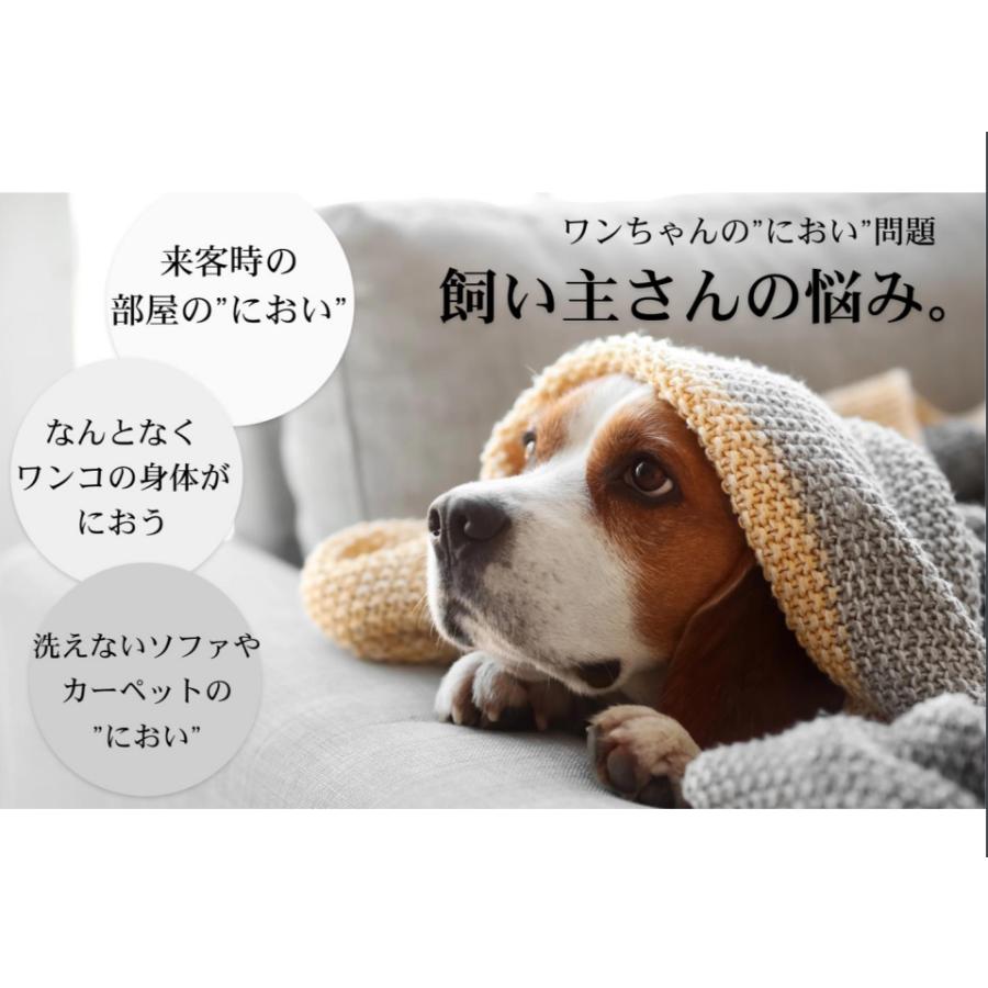 フィトンチッド スプレー フォードッグ 犬用 犬 防腐剤 添加物