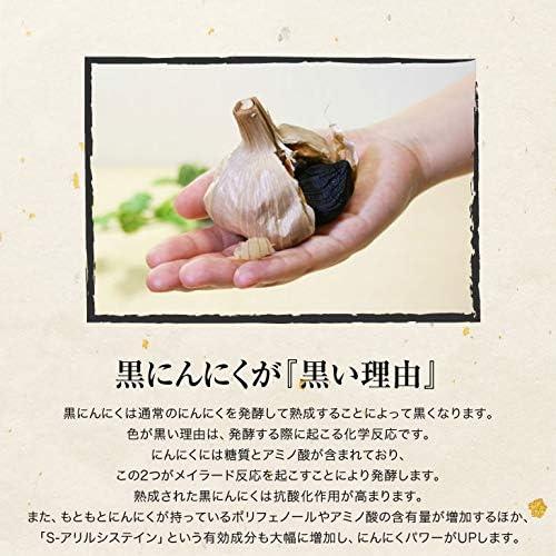 マリン商事 自宅で簡単 黒にんにく発酵器DX Ki-00239 : ふくひらどう