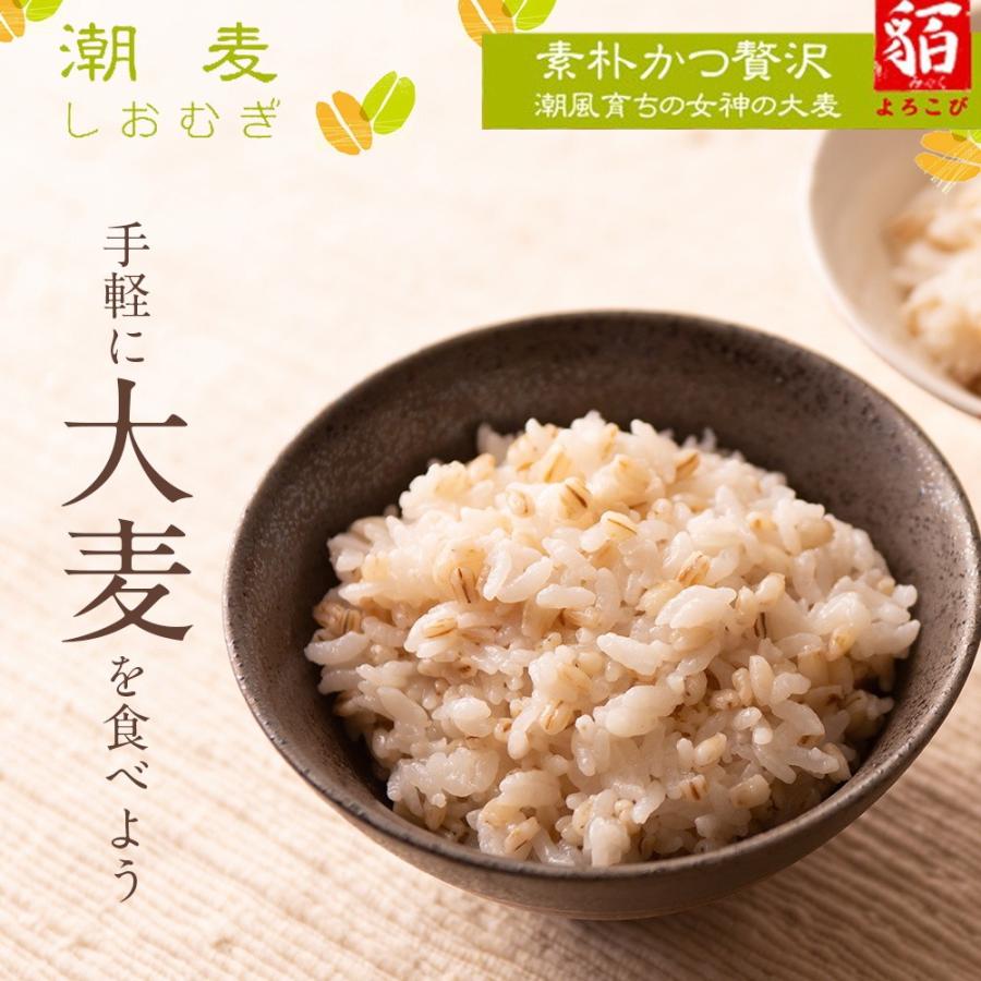 自社農園スコットランド産大麦3 5kg 潮麦 丸麦 麦ご飯 デトックス お菓子 M いただき繕 福井越廼店 通販 Yahoo ショッピング