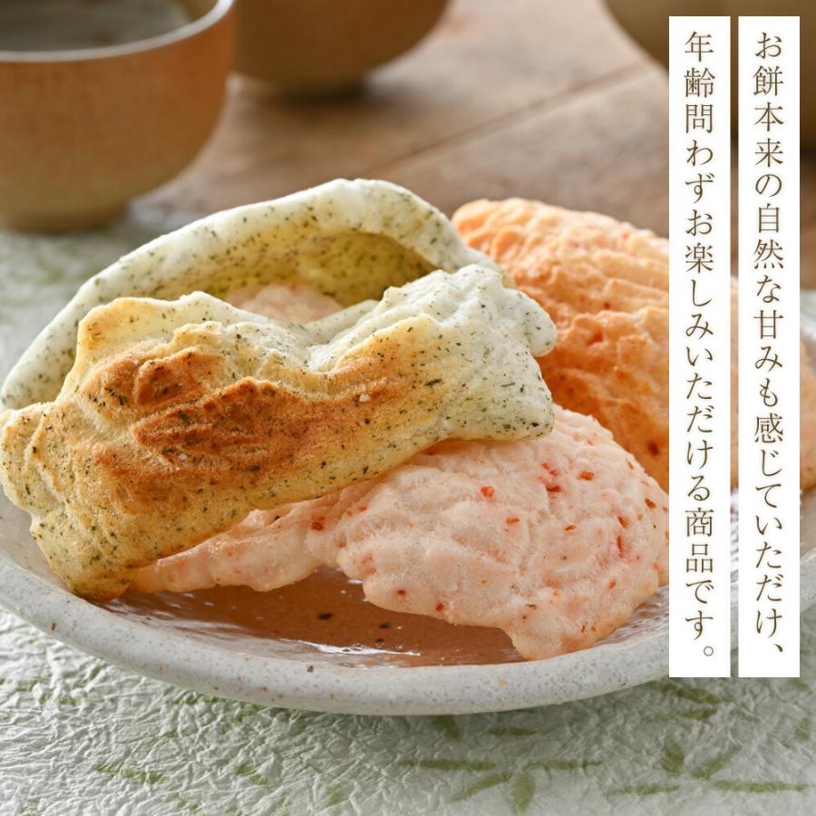 田中屋 10個セット 焼きかきもち 餅の田中屋 1861年創業 | 桜エビ えび