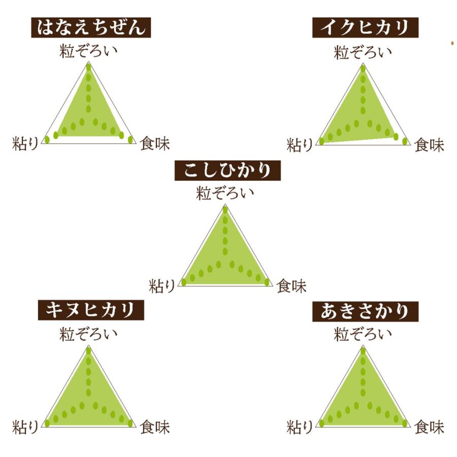 新米 はなえちぜん 玄米 30キロ 令和7年度産 1等級 福井県産 令和