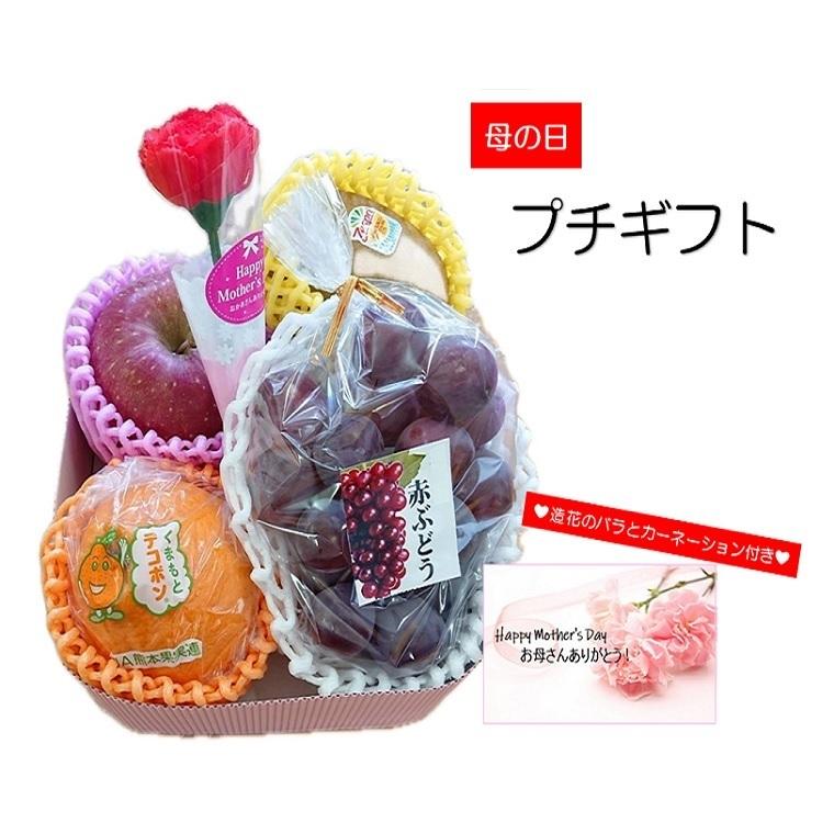 母の日対応 フルーツプチギフトセット ４種 果物ギフト 可愛いミニギフト 贈り物 造花のカーネーションと メッセージカード付 送料無料 60 Haha 福井くいしんぼ市場ヤフー店 通販 Yahoo ショッピング