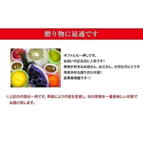 人気特価 福井くいしんぼ市場店果物ギフト チョコレート3種6枚入り食の宝石箱フル ツジュエリーbox１５個入りセット フル ツセット プレゼント お誕生日 御歳暮 Latam Tech
