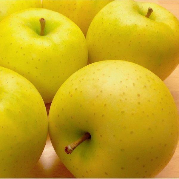 果物ギフト 食の宝石箱 【プレミアボックス３〜４種入り】 アールスメロン 入りフルーツ セット バレンタイン 化粧箱 母の日 父の日 お誕生日 メロン お祝 爆買 |  | 02