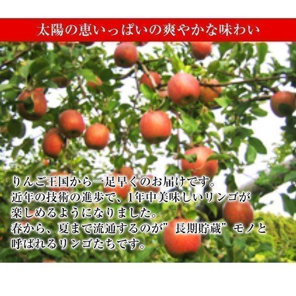 果物ギフト 食の宝石箱 【プレミアボックス３〜４種入り】 アールスメロン 入りフルーツ セット バレンタイン 化粧箱 母の日 父の日 お誕生日 メロン お祝 爆買 |  | 03