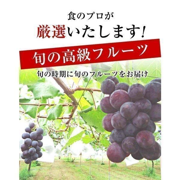 御年賀 果物ギフト 食の宝石箱 【Ａ】 特選果物ギフト８個 化粧箱 バレンタイン お供え 内祝 お誕生日 御祝 フルーツセット |  | 01