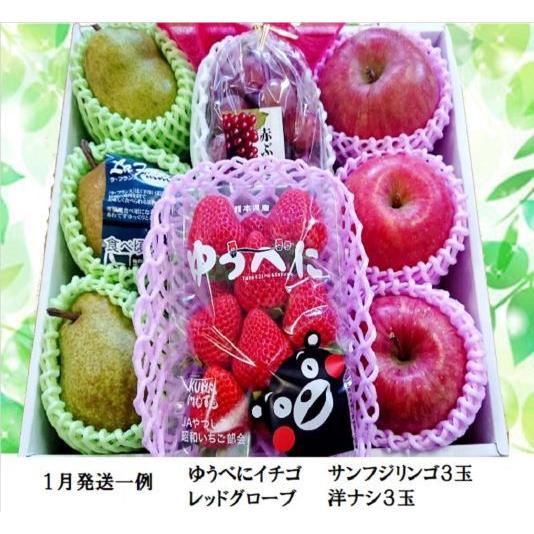 御年賀 果物ギフト 食の宝石箱 【Ａ】 特選果物ギフト８個 化粧箱 バレンタイン お供え 内祝 お誕生日 御祝 フルーツセット |  | 05