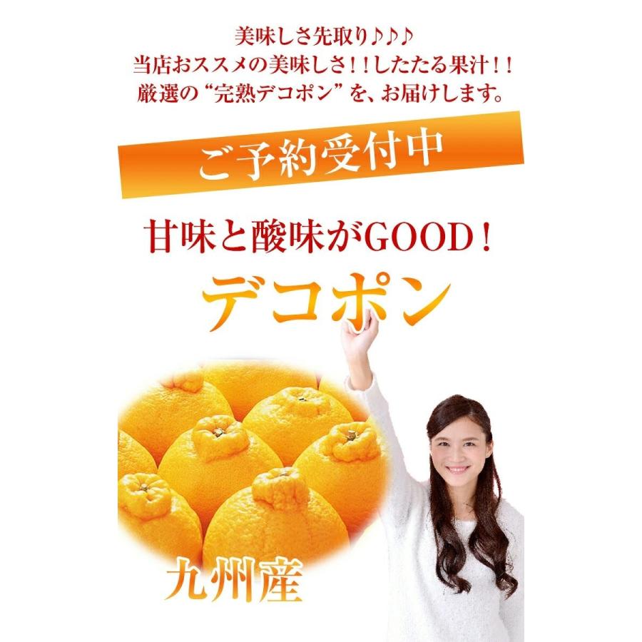 果物ギフト でこぽん 最高級大玉7玉〜8玉化粧箱 御年賀 デコポン 九州産 贈答用 お年始  柑橘 果物ギフト フルーツギフト |  | 01