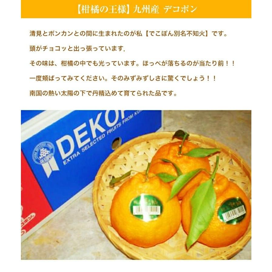 果物ギフト でこぽん 最高級大玉7玉〜8玉化粧箱 御年賀 デコポン 九州産 贈答用 お年始  柑橘 果物ギフト フルーツギフト |  | 02