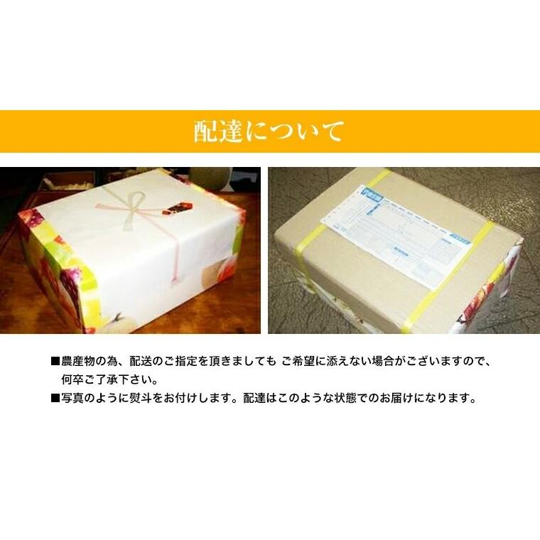 果物ギフト でこぽん 最高級大玉7玉〜8玉化粧箱 御年賀 デコポン 九州産 贈答用 お年始  柑橘 果物ギフト フルーツギフト |  | 04