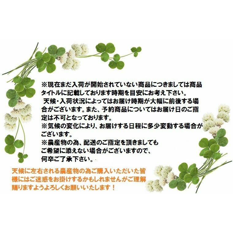 果物ギフト でこぽん 最高級大玉7玉〜8玉化粧箱 御年賀 デコポン 九州産 贈答用 お年始  柑橘 果物ギフト フルーツギフト |  | 05