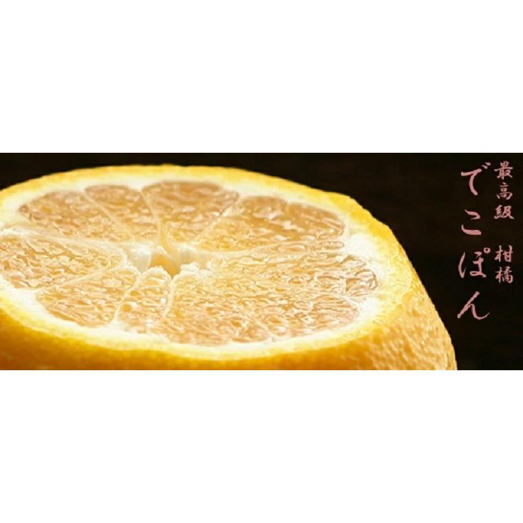 果物ギフト でこぽん 最高級大玉7玉〜8玉化粧箱 御年賀 デコポン 九州産 贈答用 お年始  柑橘 果物ギフト フルーツギフト |  | 06