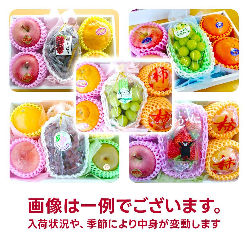 果物ギフト 食の宝石箱【Ｂ−３】フルーツセット３種ギフト化粧箱 母の日 ギフト 2026 果物 詰め合わせ フルーツ 盛り合わせ 御中元 御祝 内祝 父の日 母の日 |  | 02