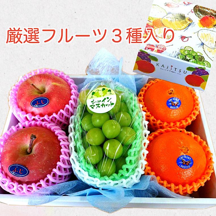 御年賀 果物ギフト 食の宝石箱【Ｂ−３】 フルーツセット３種ギフト化粧箱 果物 詰め合わせ フルーツ 盛り合わせ  お歳暮 御中元 御祝 内祝 父の日 母の日 |  | 02