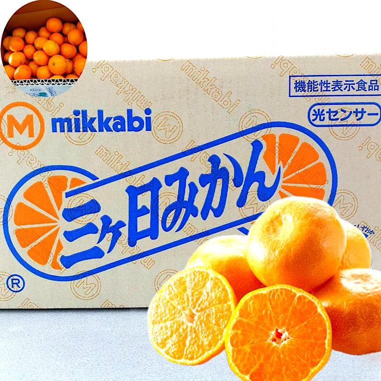 三ケ日みかん 無印 サイズ指定なし 約4kg 静岡県産【光センサー選別