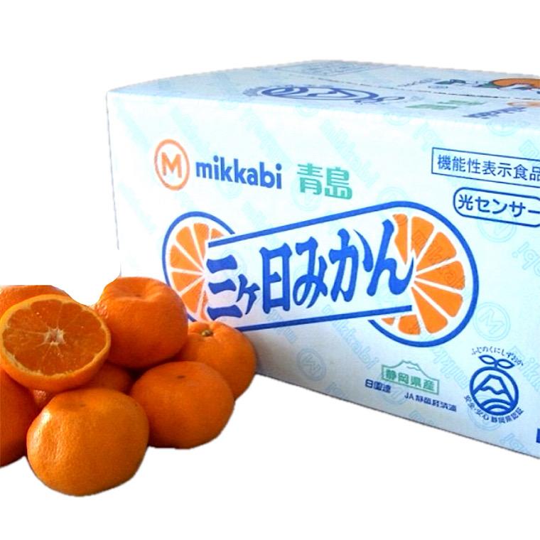 三ケ日みかん 無印 サイズ指定なし 約4kg 静岡県産【光センサー選別