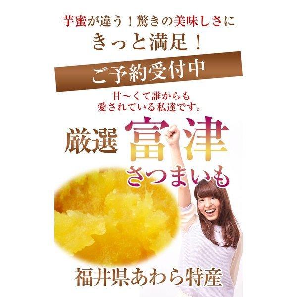 さつまいも B級 富津金時さつまいも 約５Ｋ箱 福井県 特産 とみつ金時 富津 えちぜん 越前 福井｜fukui｜02