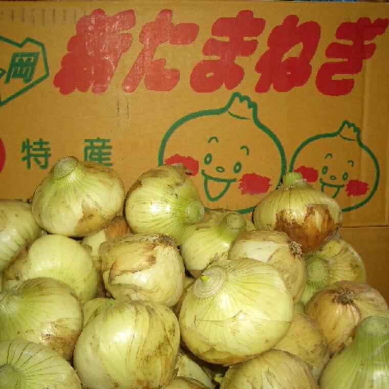 厳選産地【 新玉ねぎ 約10kg箱 】 新玉ねぎ 静岡・愛知・四国・九州・淡路・北海道産 国産 玉ねぎ たまねぎ 玉葱 常備野菜 春野菜の画像