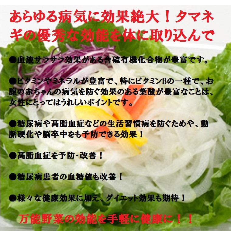 厳選産地【 新玉ねぎ 約10kg箱 】 新玉ねぎ 静岡・愛知・四国・九州・淡路・北海道産 国産 玉ねぎ たまねぎ 玉葱 常備野菜 春野菜の画像