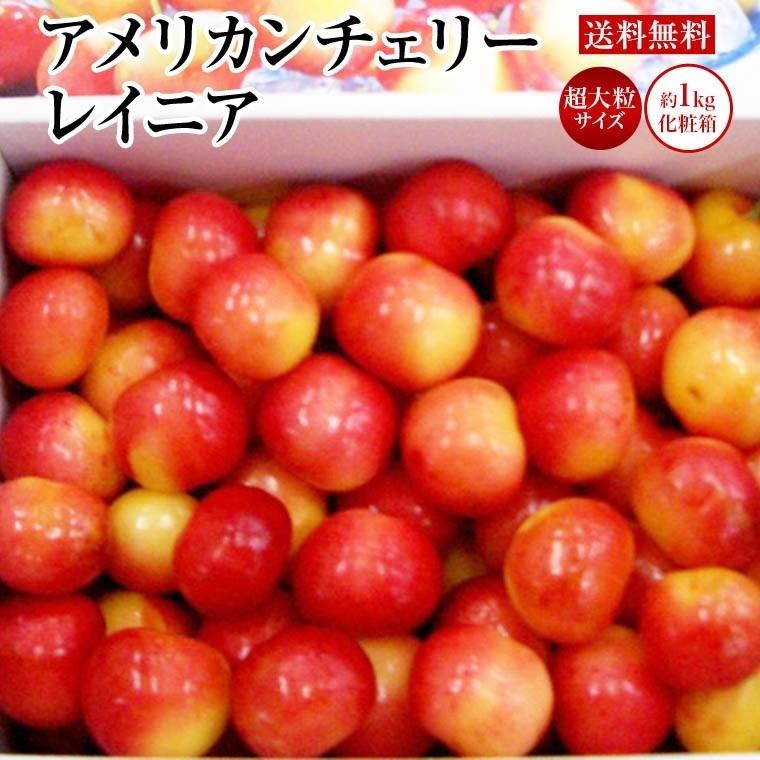アメリカンチェリー【レイニア】 秀品 約１Ｋ化粧箱（レイニア種）父の日 ギフト 果物ギフト チェリー
