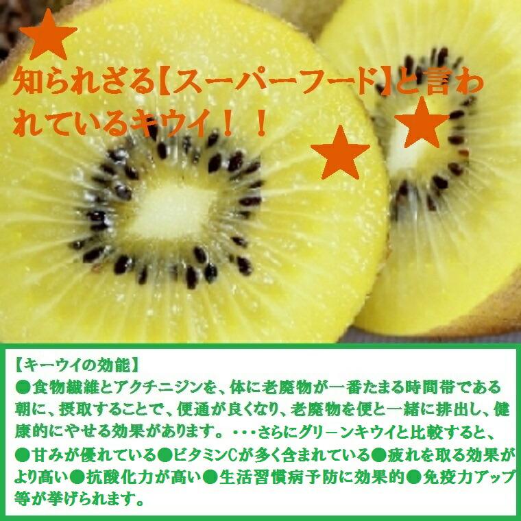 ゼスプリ ゴールドキウイ 大玉12玉化粧箱 ニュージーランド産 キウイ