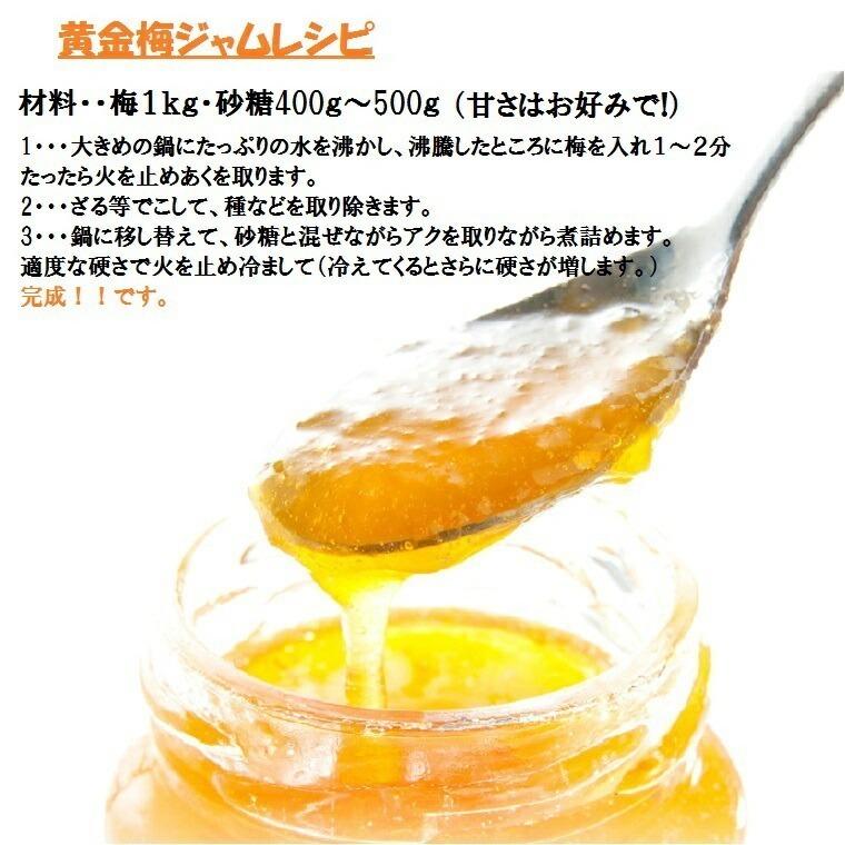 冷凍】訳ありB級品袋入り 新平太夫梅 約2Kg 福井県木成り完熟梅 訳