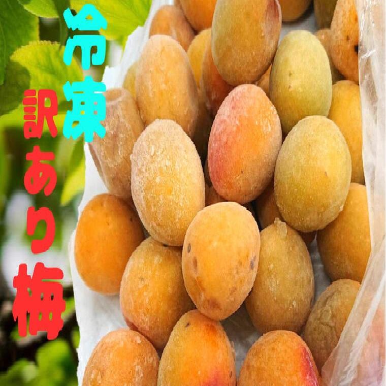 【冷凍ウメ】 南高梅 完熟梅 新平太夫梅 福太夫梅 訳ありＢ級梅約２Ｋ 無選果 冷凍梅 梅 和歌山・福井・紀州 冷凍梅 梅酒 梅シロップ の商品画像