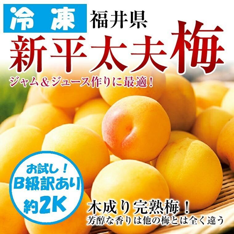 冷凍】訳ありB級品袋入り 福井県 新平太夫梅 約4K《2K袋×2》 木