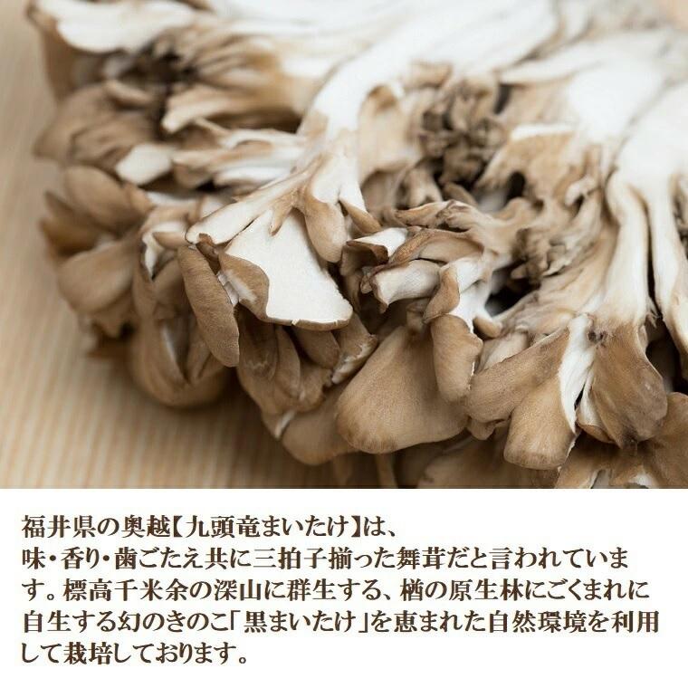 九頭竜【くずりゅう】まいたけ 約100gパック×5パック入り（福井県