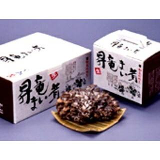 九頭竜まいたけ 約450ｇ1株入り化粧箱（福井県奥越産）九頭竜【くずりゅう】まいたけ 福井 ふくい |  | 02