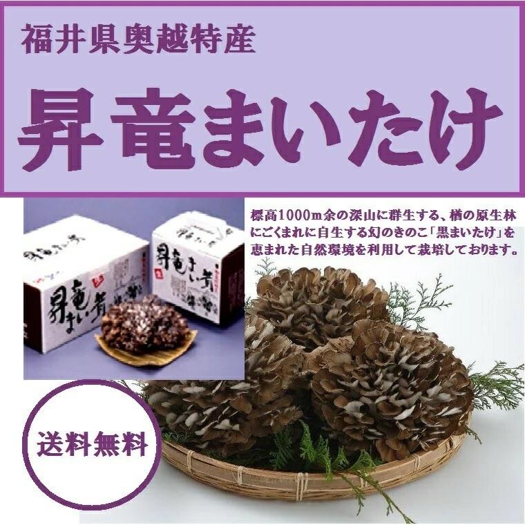 九頭竜まいたけ 約450ｇ1株入り化粧箱（福井県奥越産）九頭竜【くずりゅう】まいたけ 福井 ふくい |  | 03