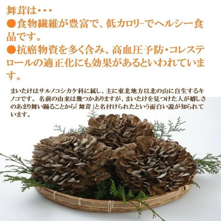 九頭竜まいたけ 約450ｇ1株入り化粧箱（福井県奥越産）九頭竜【くずりゅう】まいたけ 福井 ふくい |  | 06