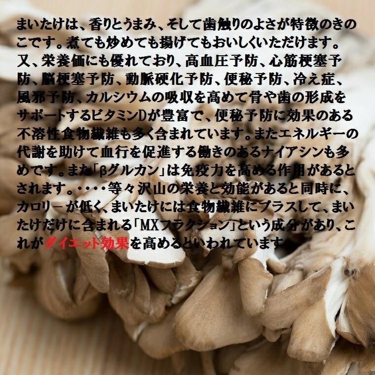 九頭竜まいたけ 約450ｇ1株入り化粧箱（福井県奥越産）九頭竜【くずりゅう】まいたけ 福井 ふくい |  | 07