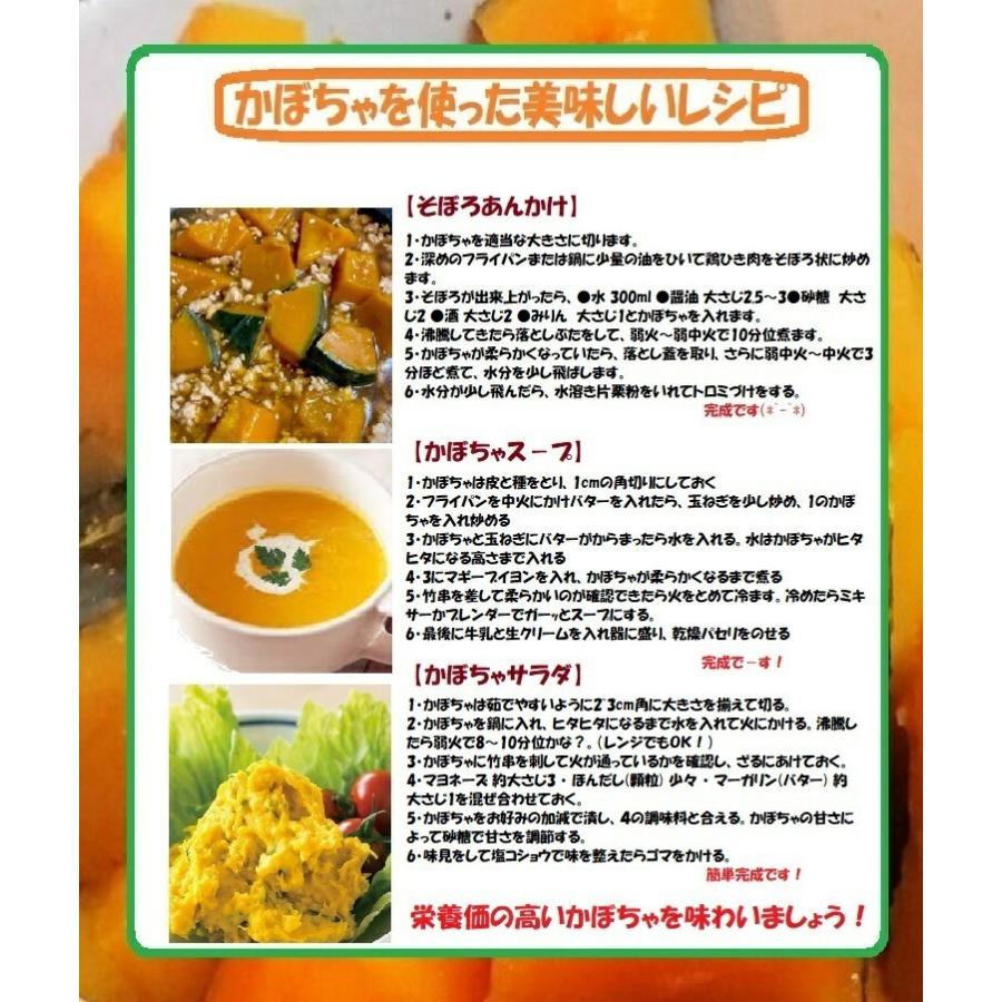 国内発送 かぼちゃ 国産かぼちゃ 南瓜 ３玉箱 ホクホクのかぼちゃ 南 の大地からお買得 健康野菜 煮物 シチュ 天ぷらに Rmladv Com Br