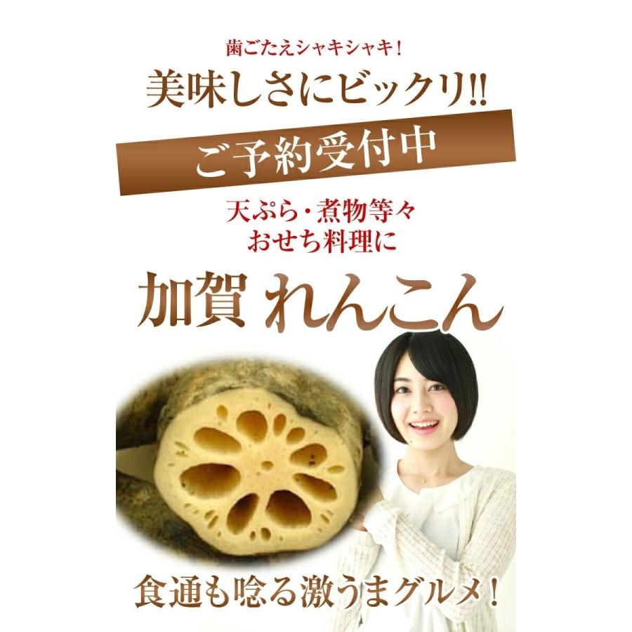 【加賀（石川）限定:加賀野菜　ぶらぶら5種】2007年　はろうきてぃ根付け　美品 加賀（石川）限定:加賀野菜 ぶらぶら5種】2007年 はろうきてぃ