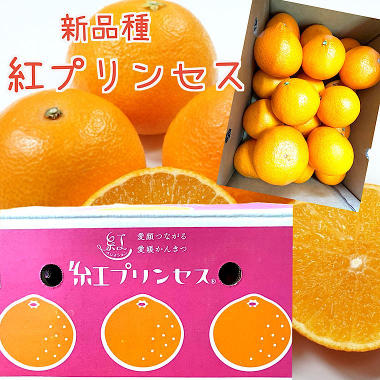 今日新入荷♪常温発送【愛媛県産紅マドンナ秀品 Lサイズ 1ケース約5kg】 紅まどんな 1.7kg (5～10個) 愛媛みかん 愛果28号 化粧箱入り 紅