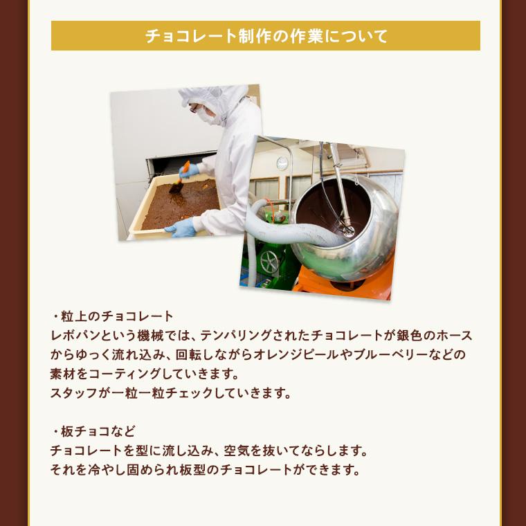 バレンタイン チョコ入り果物ギフト【フルーツジュエリーBOX１５個入りセット ブランドチョコレート2〜3種10枚入り】フルーツ チョコレート 母の日 |  | 05