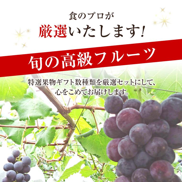 御年始 果物ギフト 食の宝石箱【Ｆ】 フルーツ バスケット バレンタイン お誕生日 御中元 内祝 御祝 御供 プレゼント お返し ゴルフ 敬老の日 景品 |  | 04
