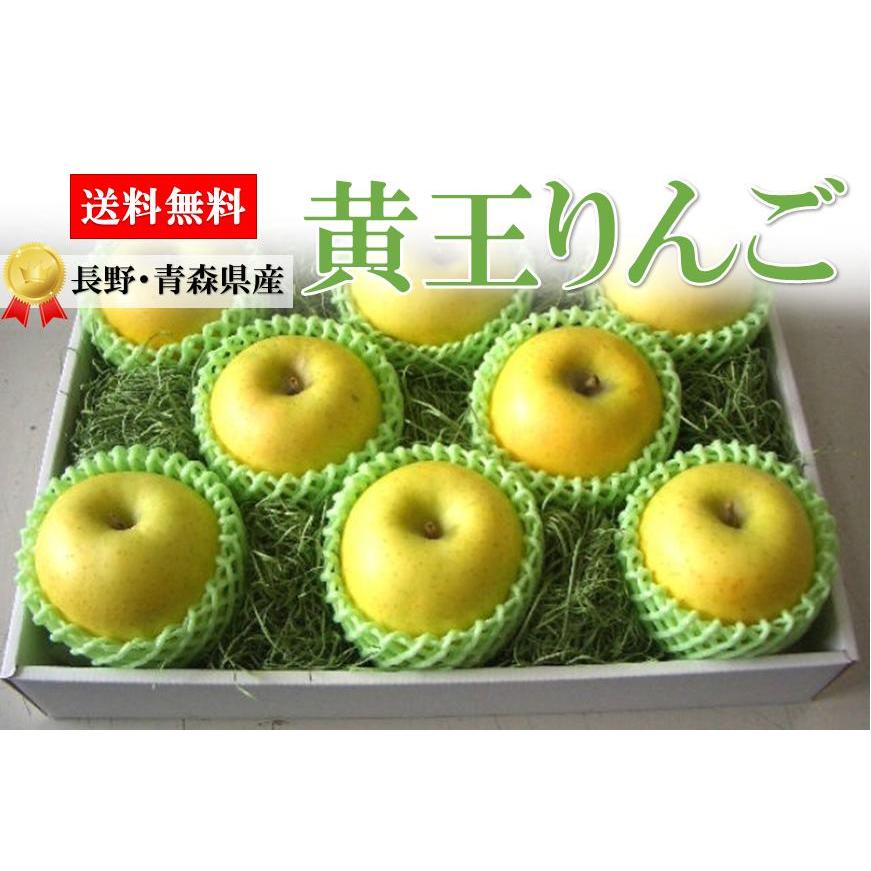 長野・青森産【黄王】きおう りんご 秀品 大8玉化粧箱 黄色りんご