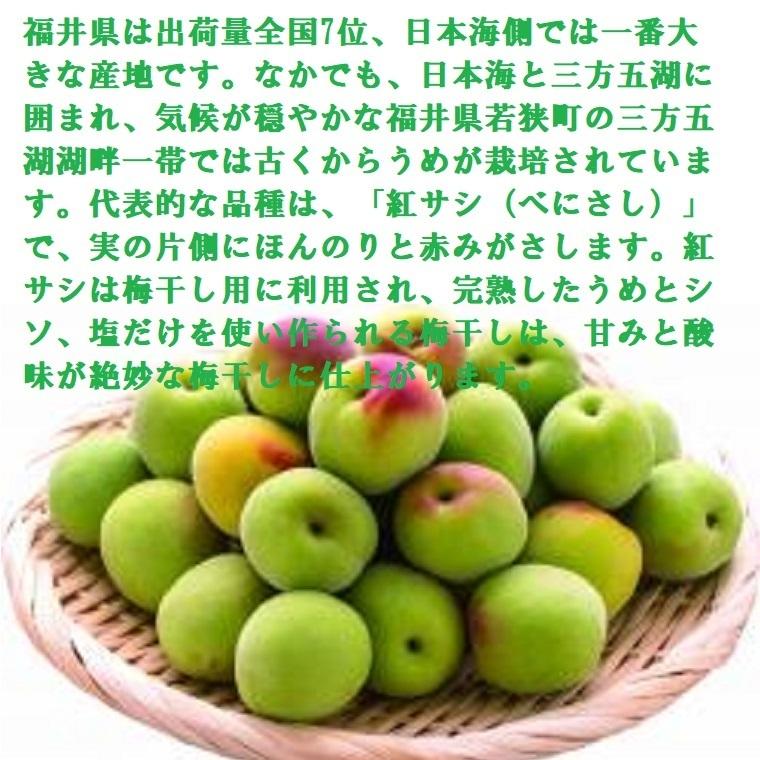 梅【紅映】福井県 三方梅 べにさし 秀L〜2L約5K箱 紅映 青梅 生梅