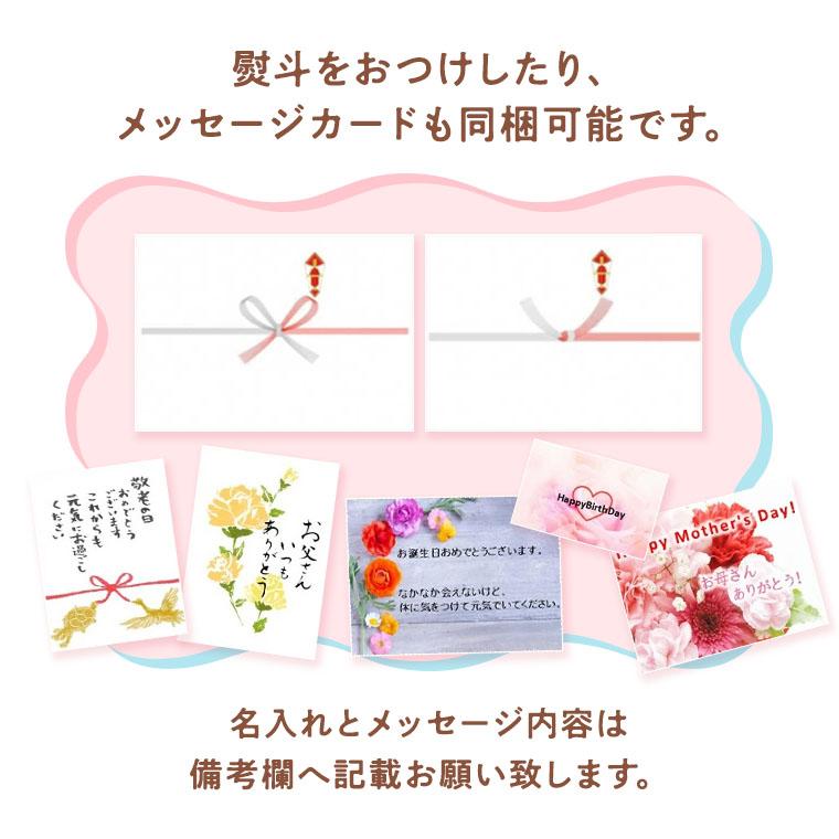 ロールケーキ 新発売 完熟バナナ入チョコクリームロールケーキ ハーフサイズ 老舗果物専門店のオリジナル 母の日 2026 お誕生日 プレゼント 御祝　 |  | 06