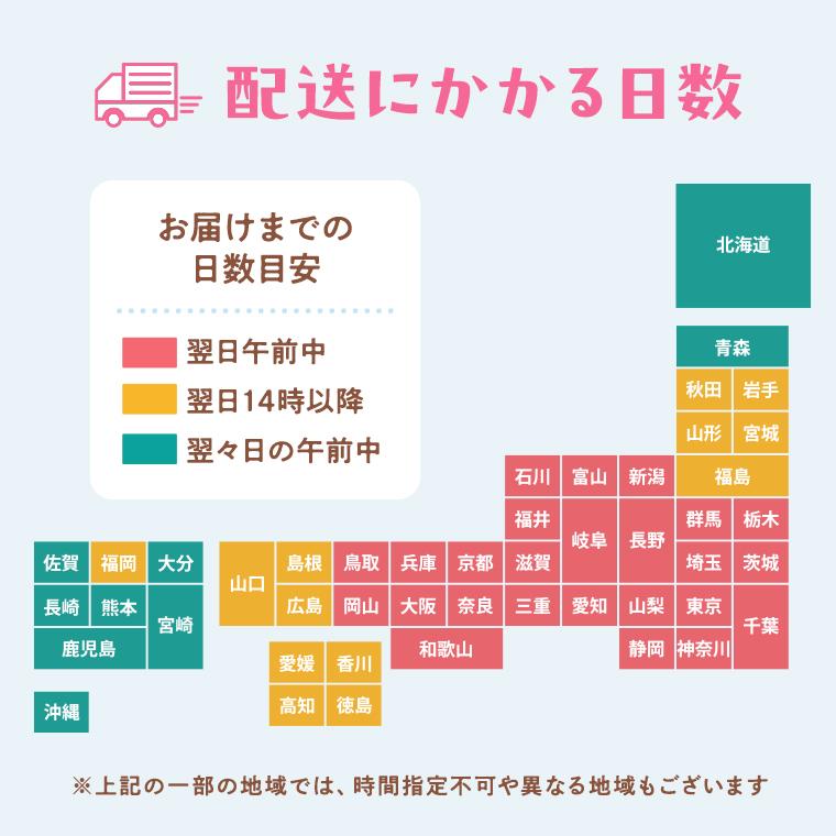 ロールケーキ 新発売 完熟バナナ入チョコクリームロールケーキ ハーフサイズ 老舗果物専門店のオリジナル 母の日 2026 お誕生日 プレゼント 御祝　 |  | 08