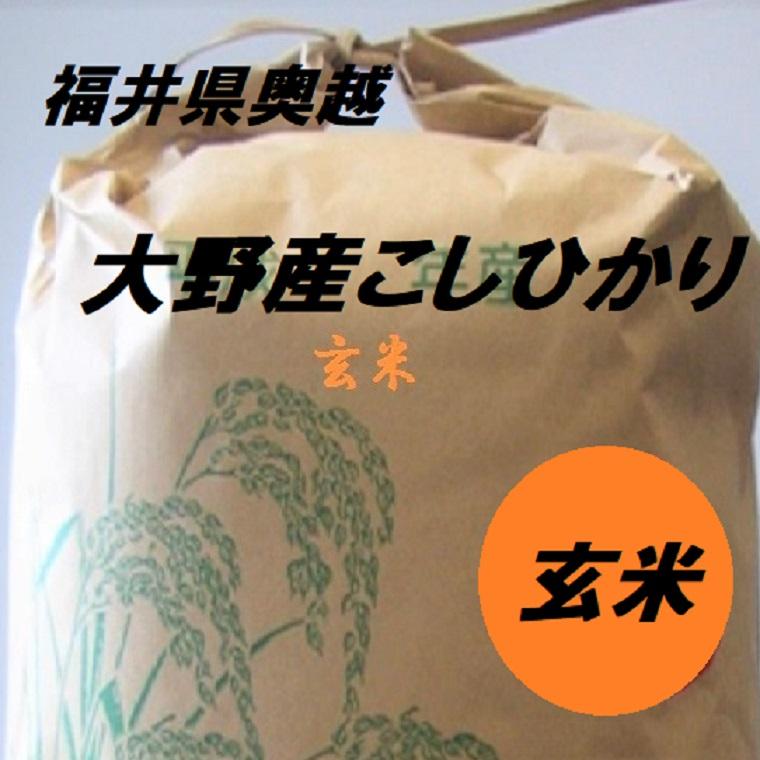 福井のブランド米 玄米【越前大野こしひかり】10K袋 福井県 奥越 大野