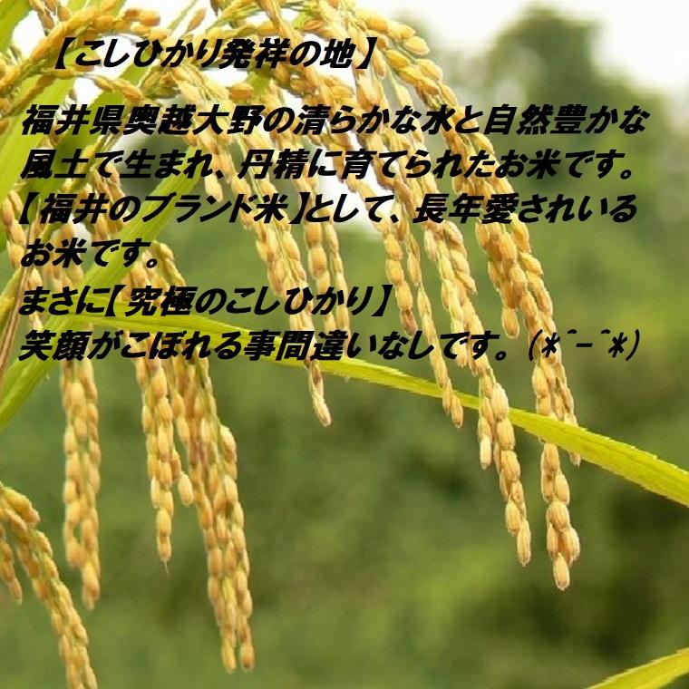 福井のブランド米 玄米【越前大野こしひかり】10K袋 福井県 奥越 大野 