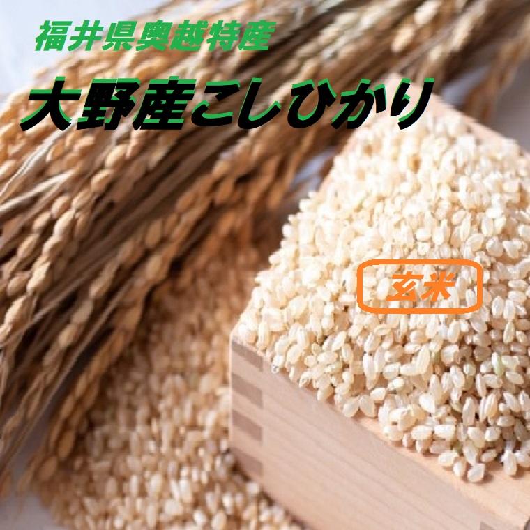 福井のブランド米 玄米【越前大野こしひかり】10K袋 福井県 奥越 大野